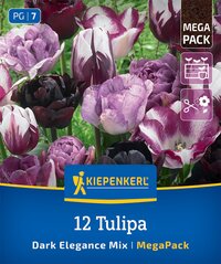Mega-Pack Blumenzwiebelmischung Dark Elegance Mix