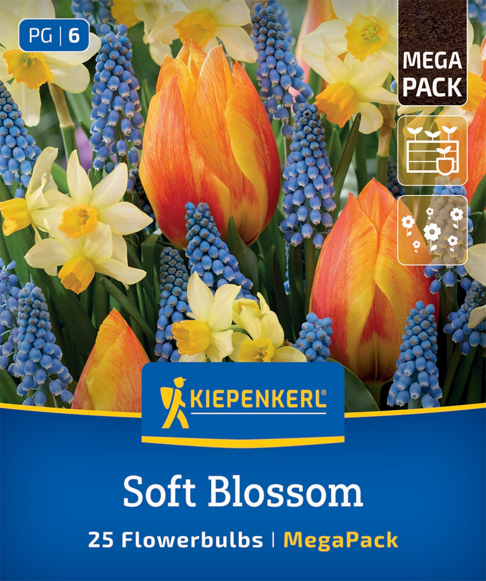 Mega-Pack Blumenzwiebelmischung Soft Blossom Mix