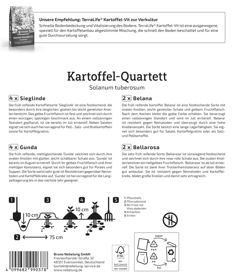 Pflanzkartoffel Quartett Grillkartoffeln, 12 Stück