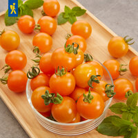 Orange Kirschtomaten in Glasschale und auf Holztablett, daneben frische grüne Blätter.
