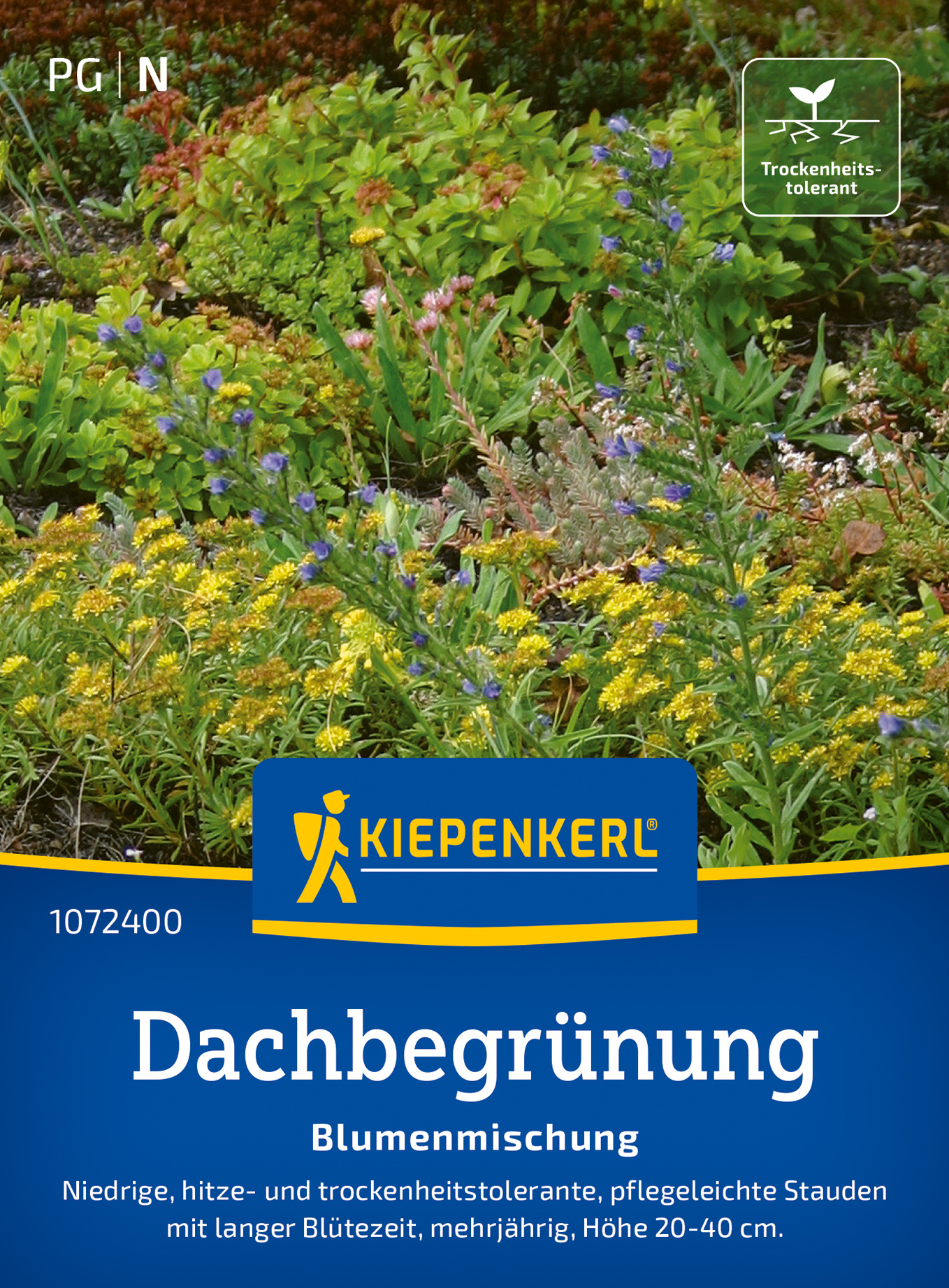 Blumensamen-Mischung Dachbegrünung & Trockenrasen