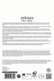 Zierlauch Globemaster