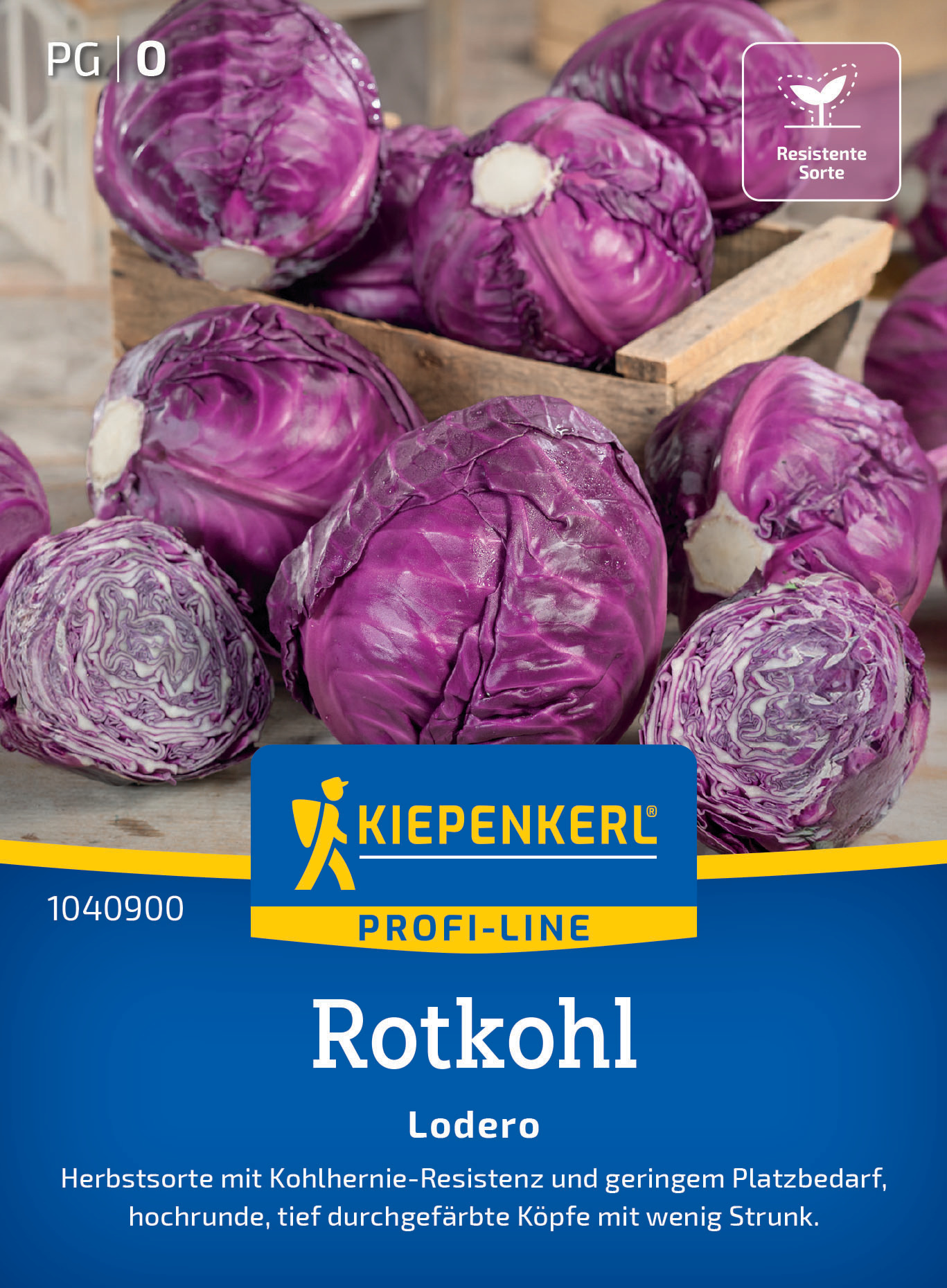 Rote Kohlköpfe auf Holzschemel und Papier.
