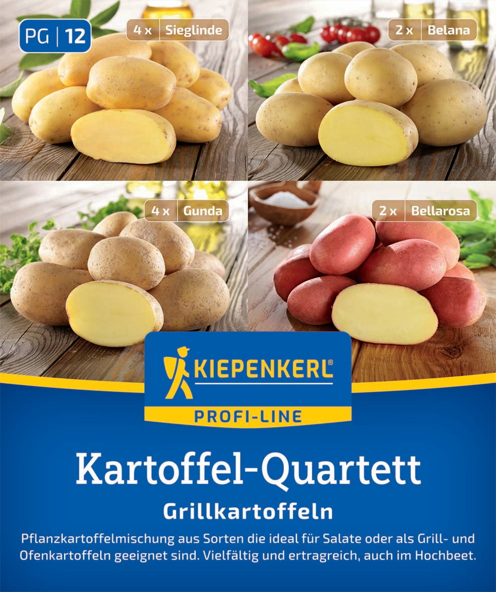Pflanzkartoffel Quartett Grillkartoffeln, 12 Stück