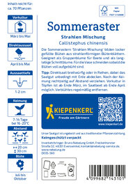 Sommerastersamen Strahlen Mischung