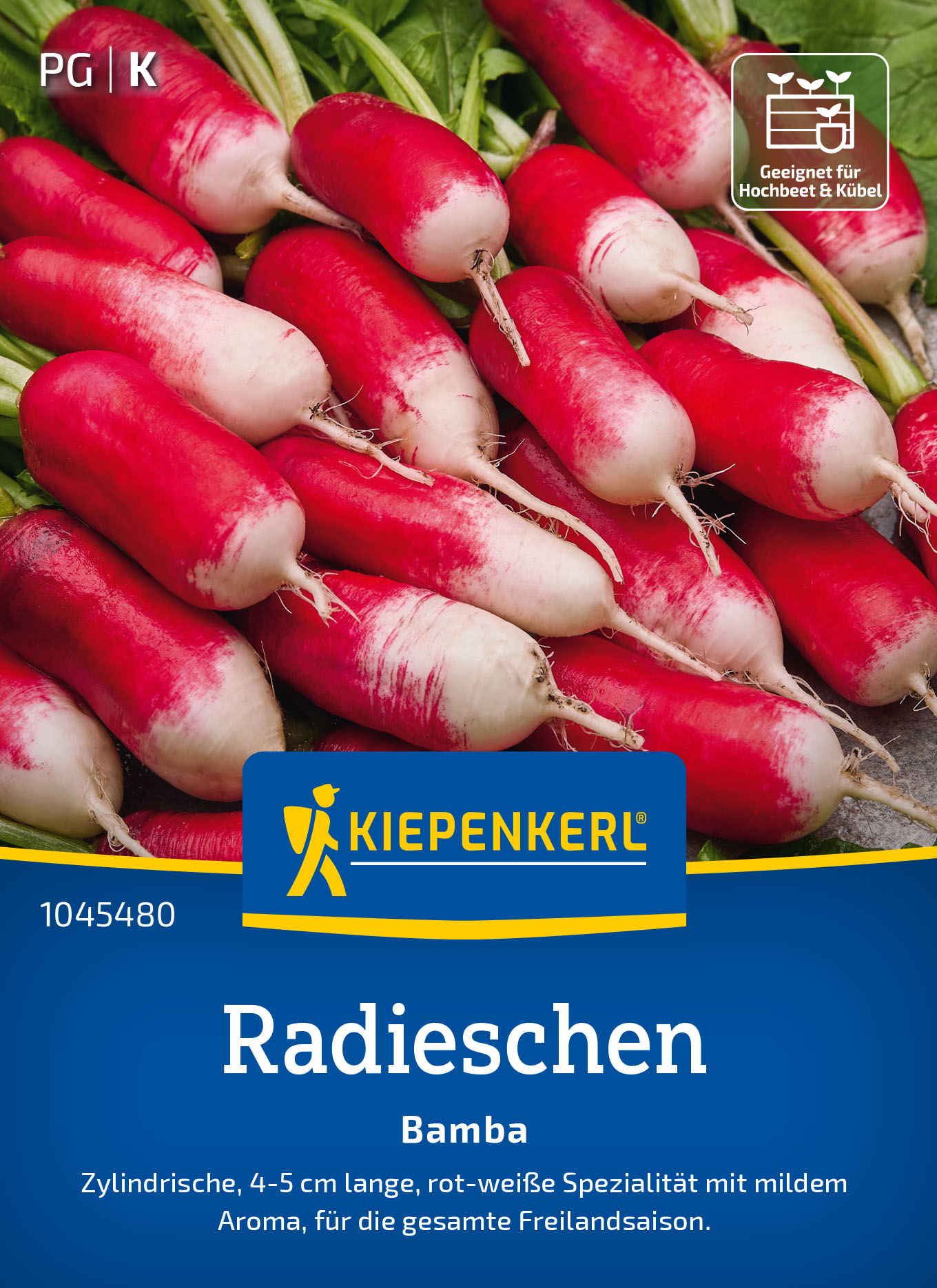 Radieschensamen Bamba