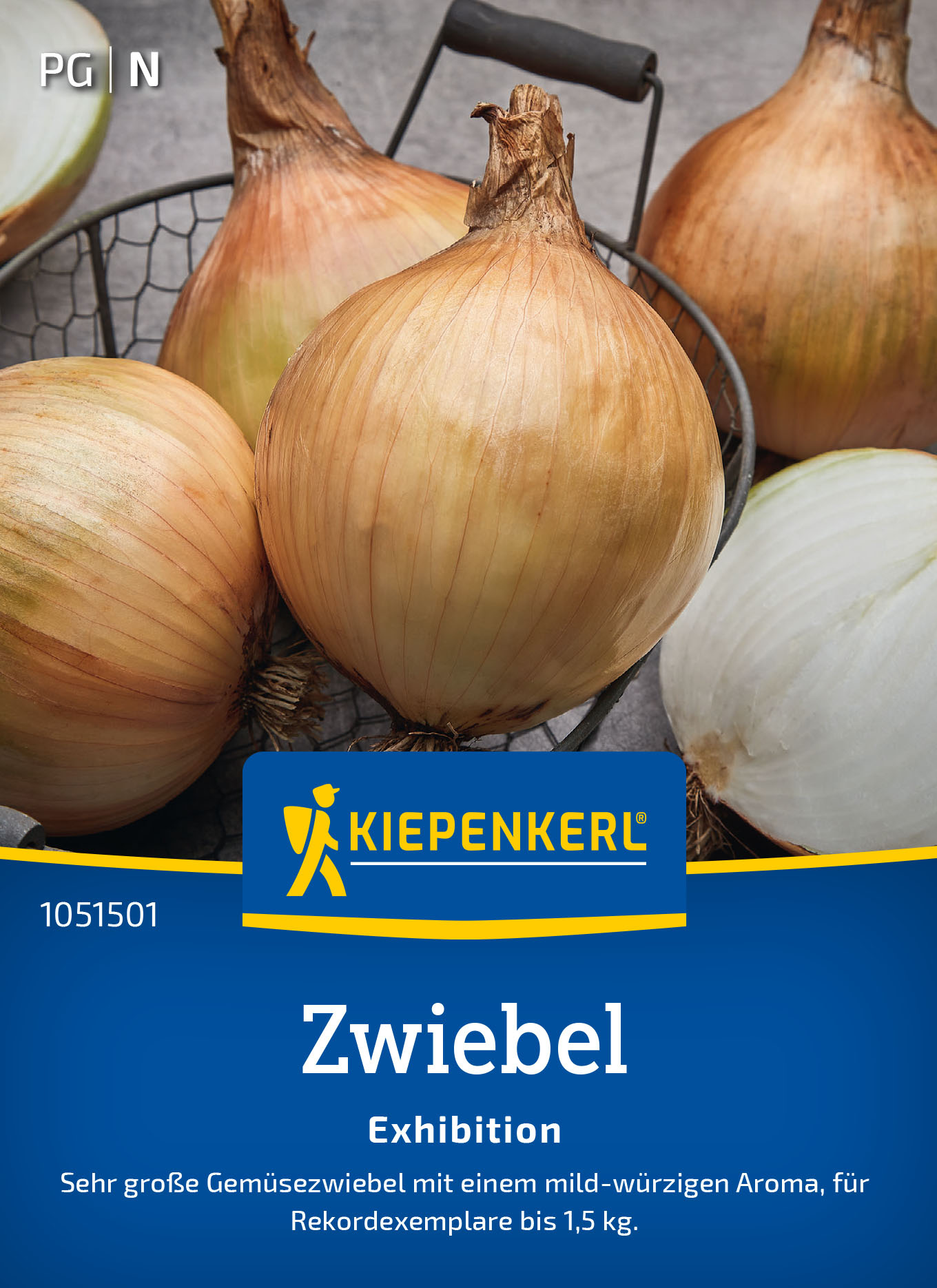 Zwiebelsamen Exhibition