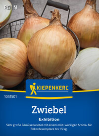 Zwiebelsamen Exhibition