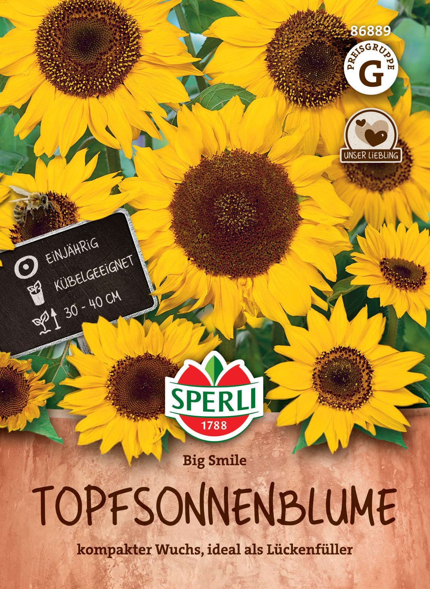 Topfsonnenblumensamen Big Smile
