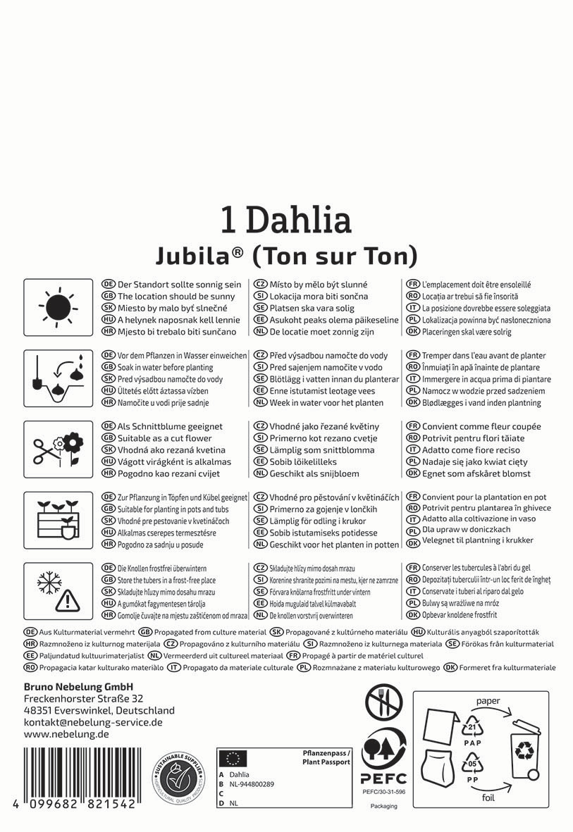 Anleitung für Dahlia Jubila mit Pflanzanleitung, Symbole und Kontaktdaten.