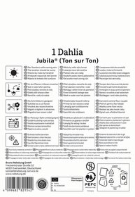 Anleitung für Dahlia Jubila mit Pflanzanleitung, Symbole und Kontaktdaten.