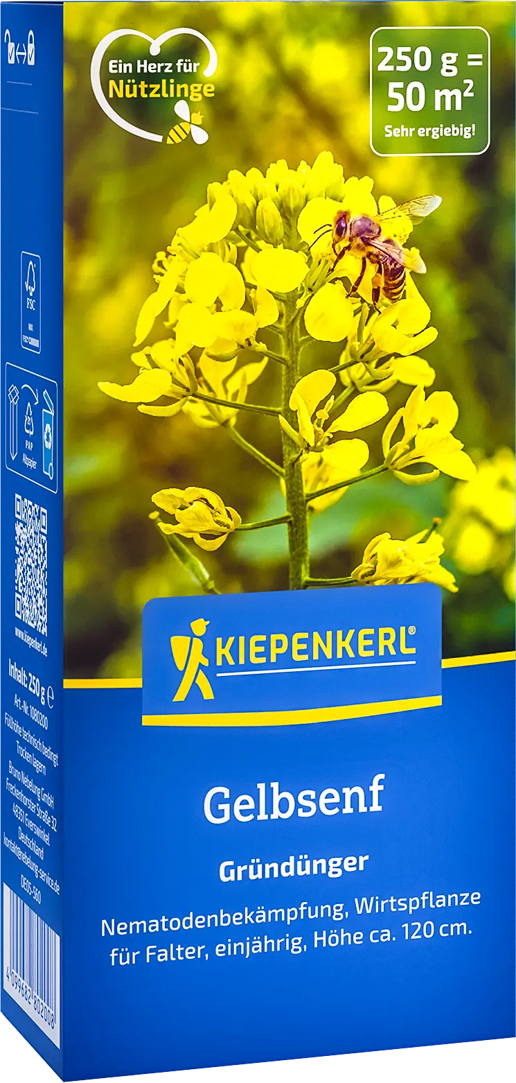 Gelbsenf, 0,25 kg