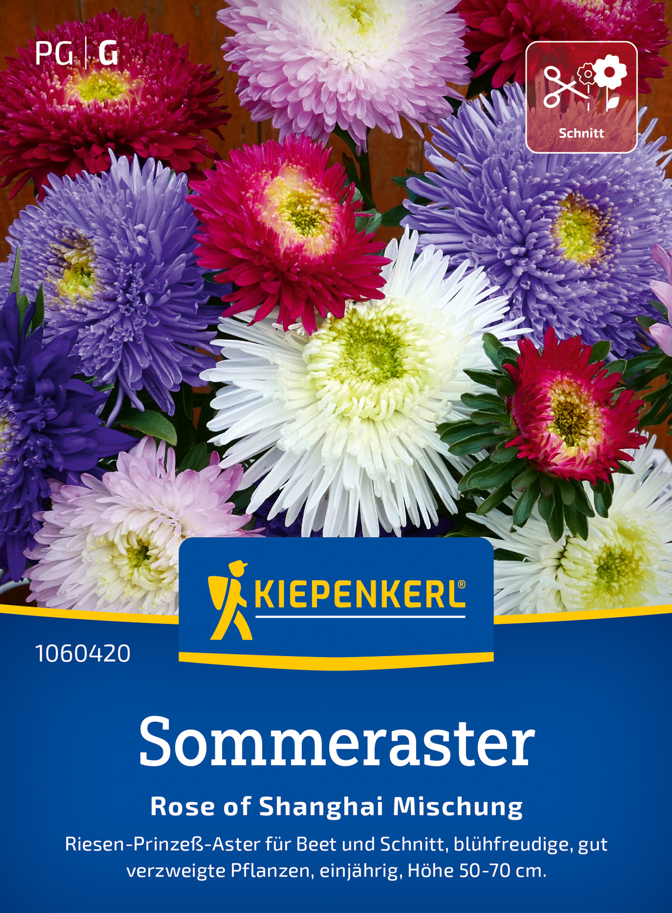Sommerastersamen Rose of Shanghai Mischung