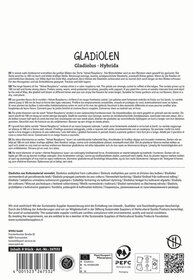 Text on a white background in multiple languages describing large violet raspberry flowers with curling petals.