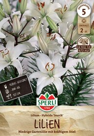 Weiße Lilienblüten mit grünen Knospen und grünen Lianen-Blättern auf einem Blumenstrauß.