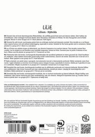 Beschrieb von Text, enthält Hinweise zur Lilie mit breiten Blättern, Duft, Pflege, Herkunft und Nachhaltigkeit.