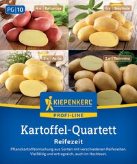 Vier rote La Rossa, vier gelbe Sieglinde, zwei gelbe Agria, zwei beige Taormina Kartoffeln auf Holzplatten.