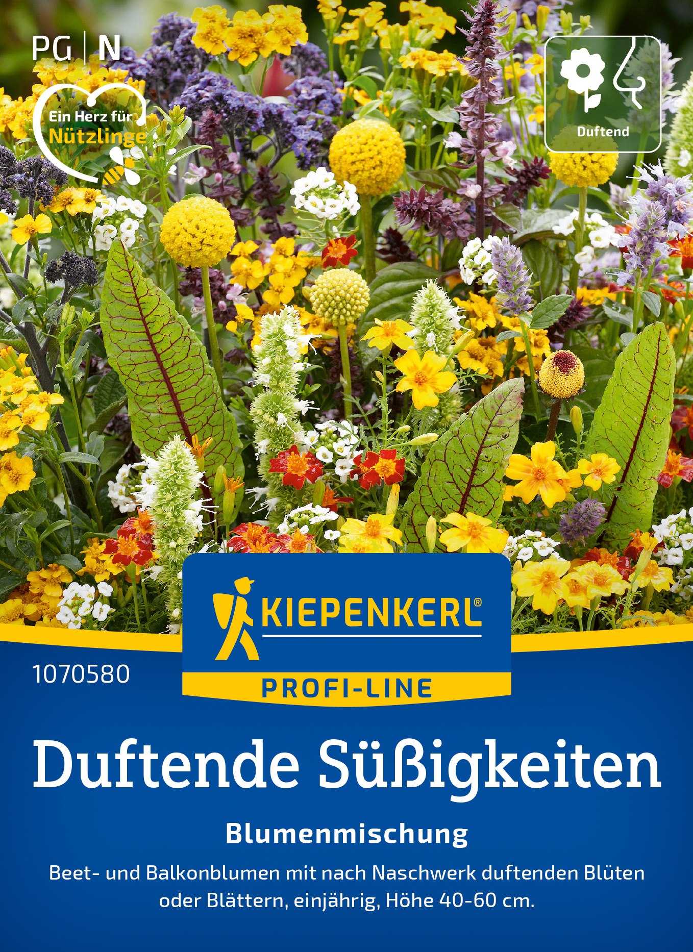 Bunte Blumenmischung mit duftenden Beet- und Balkonblumen, einjährig, Höhe 40-60 cm