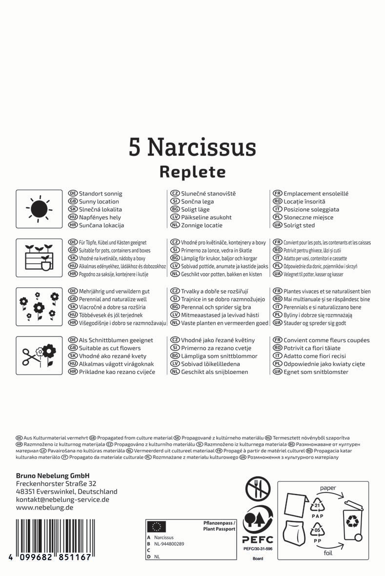 Gefüllte Narzisse Replete