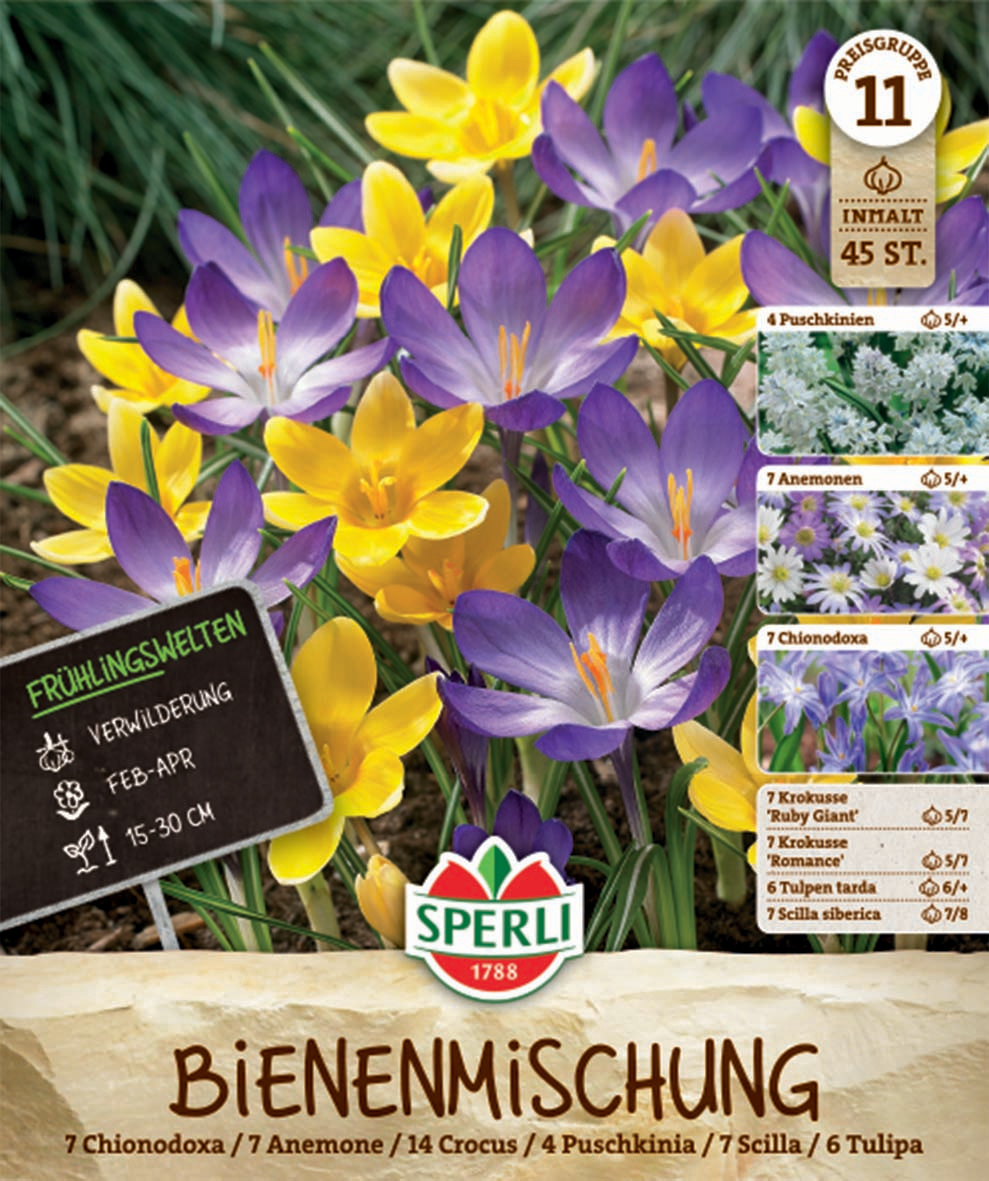 Frühlingsgarten Bienenparadies