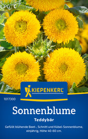 Sonnenblumensamen Teddybär