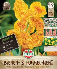 Gelbe Canna mit roten Flecken, daneben kleine Sorten der Gladiolus und Iris auf Saatgutverpackung.