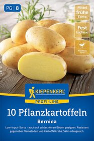 Pflanzkartoffel Bernina, 10 Stück