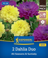 Gelbe und lila Dahlienblumen mit grünen Blättern im Hintergrund auf einer Verpackung.