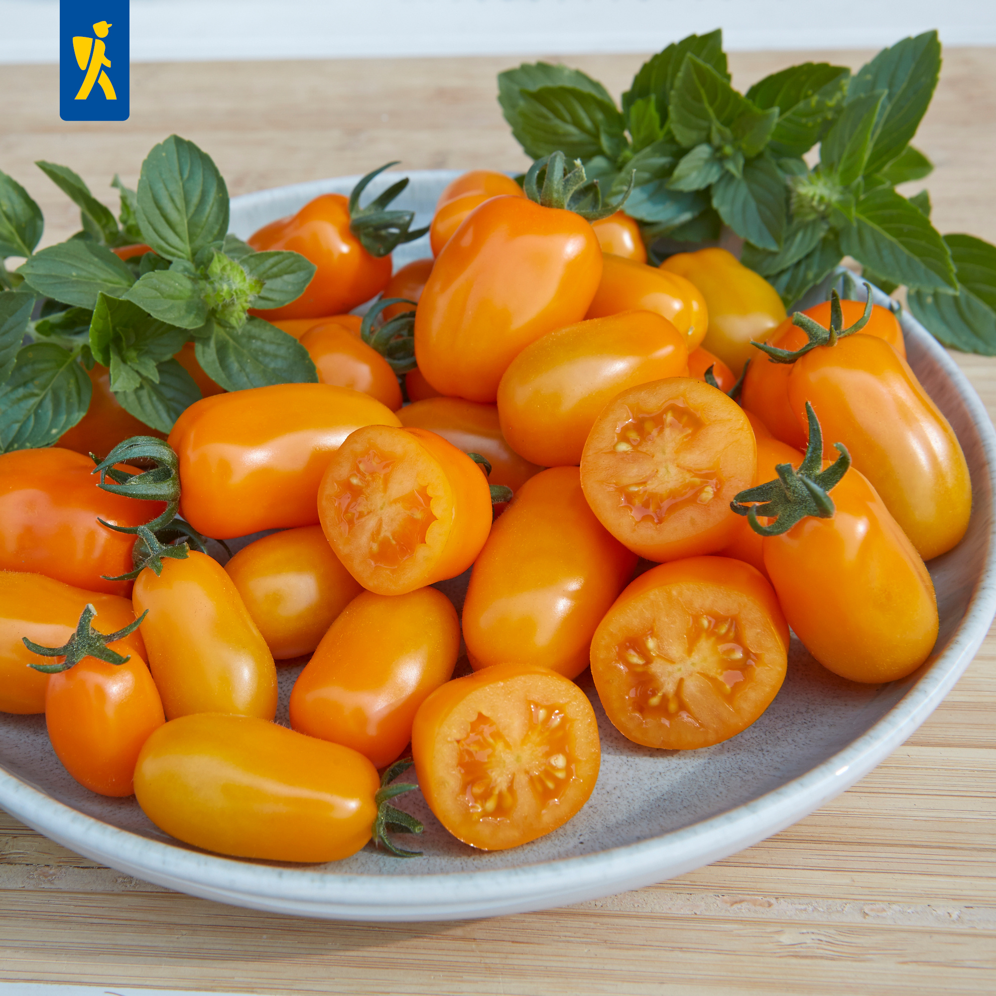 Kirsch-Tomatensamen Pano Orange®, F1 