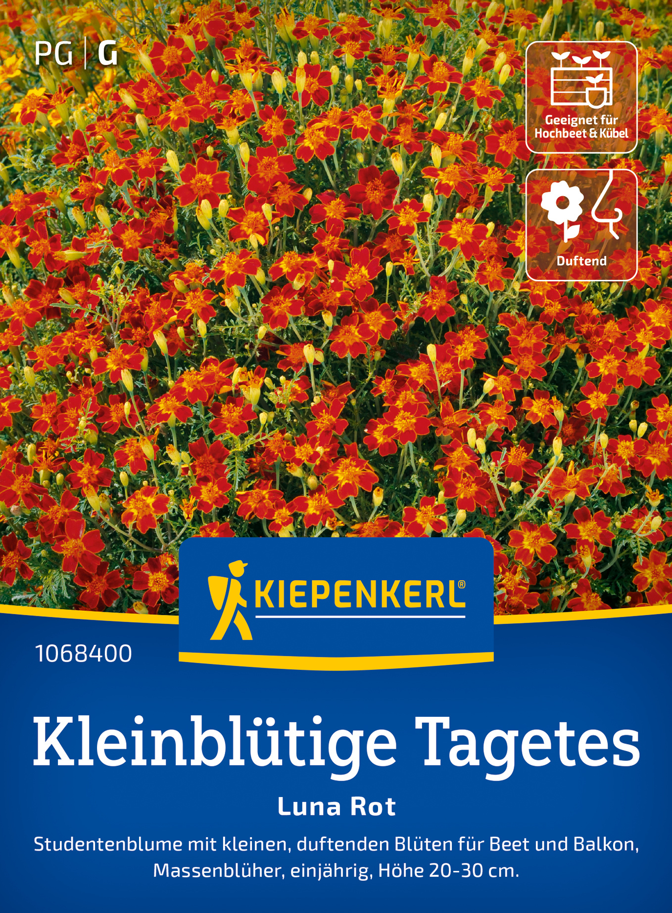 Kleinblütige Tagetessamen Luna Rot