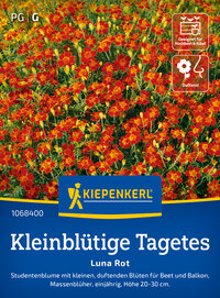 Kleinblütige Tagetessamen Luna Rot