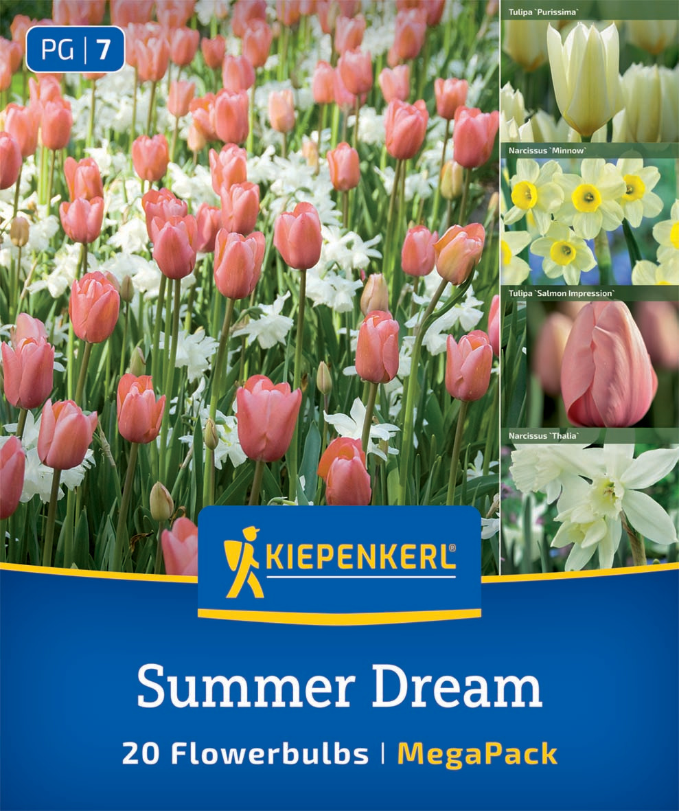 Mega-Pack Blumenzwiebelmischung Summer Dream Mix