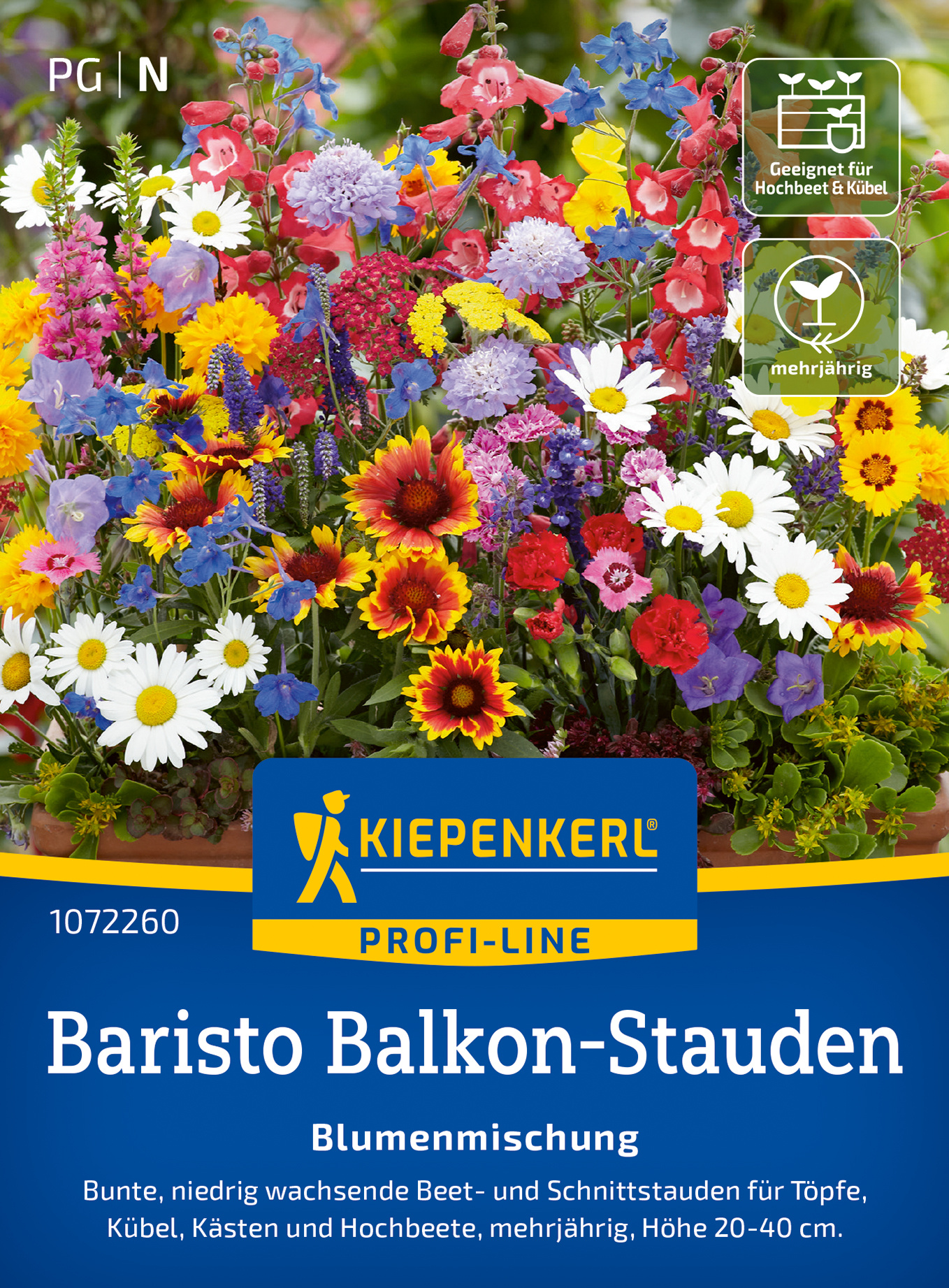 Blumensamen-Mischung Baristo Balkon-Stauden