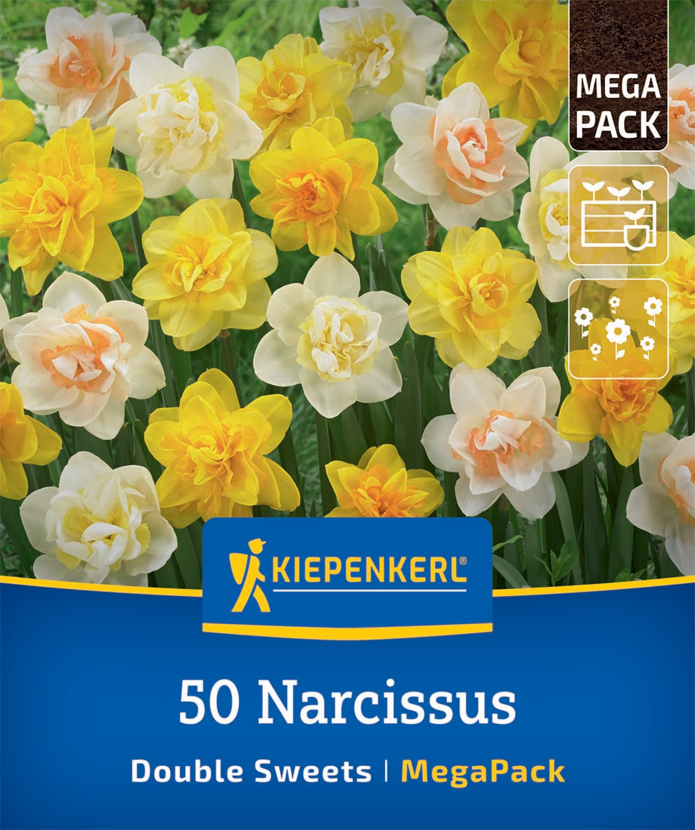 Mega-Pack Gefüllte Narzissen Mischung Double Sweets