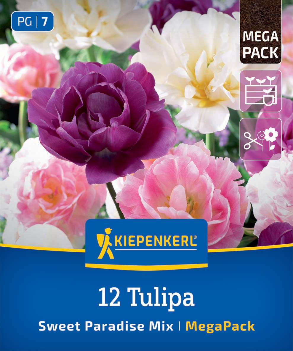 Mega-Pack Blumenzwiebelmischung Sweet Paradise Mix