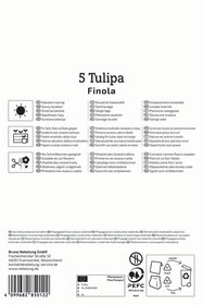 Gefüllte Späte Tulpe Finola