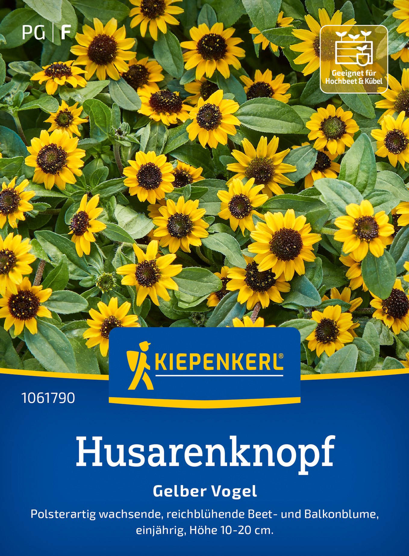 Husarenknopfsamen Gelber Vogel