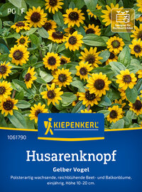 Husarenknopfsamen Gelber Vogel