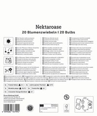 Anleitungstext für die Pflanzung und Pflege von Zwiebelpflanzen mit Produktinformationen in mehreren Sprachen.