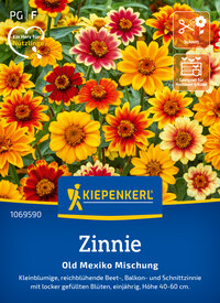 Bunte Zinnien in Gelb, Orange, Rot und Creme, auf Pflanze in Blumenbeet.
