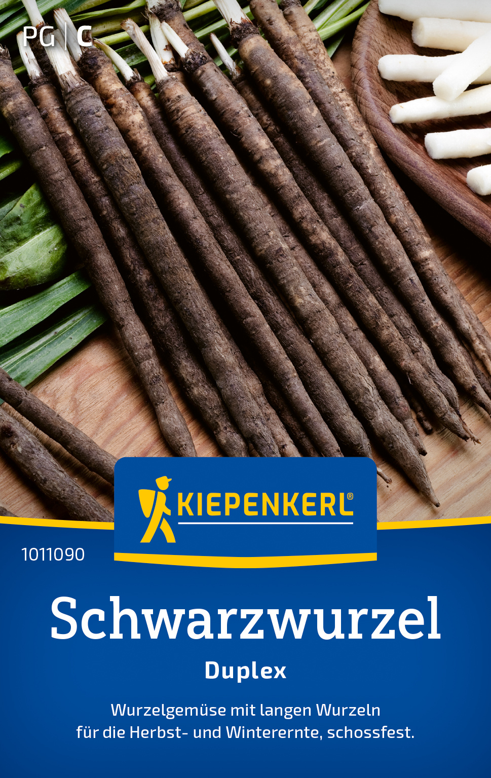 Schwarzwurzelsamen Duplex