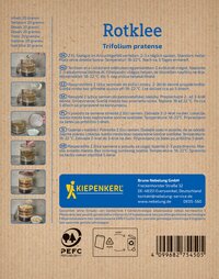 Anleitung mit Bildern zur Aussaat von Rotklee in einem Behälter, Schritte mit Händen und Samen.