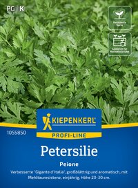Grüne Petersilienpflanzen mit dreilappigen Blättern auf dem Pflanzensacker.