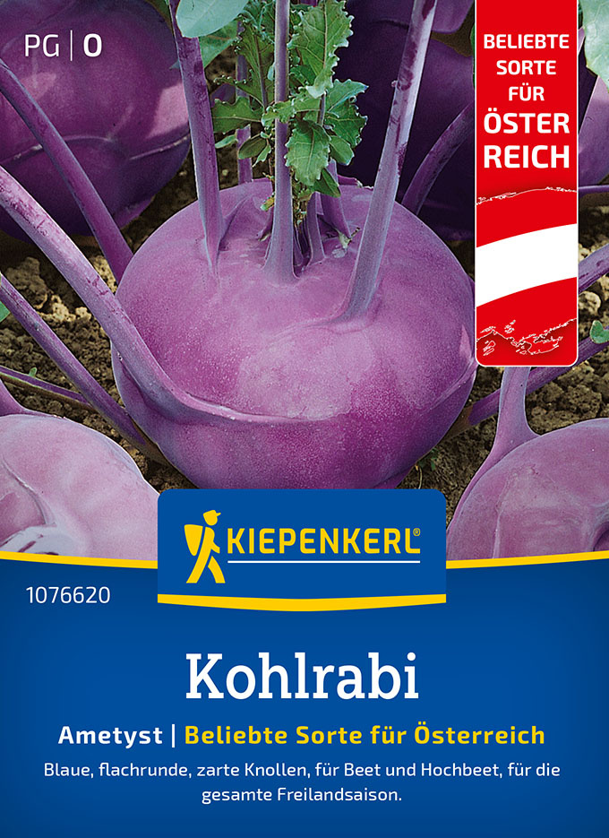 Kohlrabisamen, Ametyst, F1