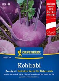 Kohlrabisamen, Ametyst, F1