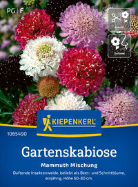 Gartenskabiosensamen Mammuth Mischung