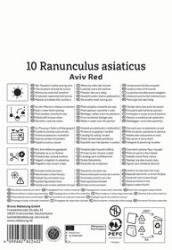 Anleitung für die Pflanzung und Pflege von Ranunculus asiaticus Aviv Red, mit Symbolen und Text in mehreren Sprachen.