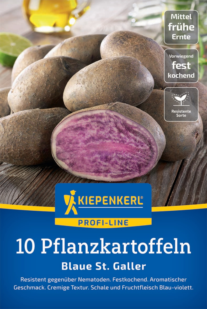 Pflanzkartoffel Blaue St. Galler, 10 Stück