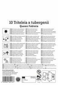 Text with planting instructions, symbols, and contact information in multiple languages, with recycling and packaging icons.
