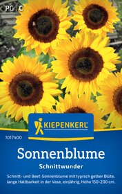 aloe gelly anwendung Aloe Vera Gel bei Sonnenbrand, Entzündungen, schöne gepflegte Haut